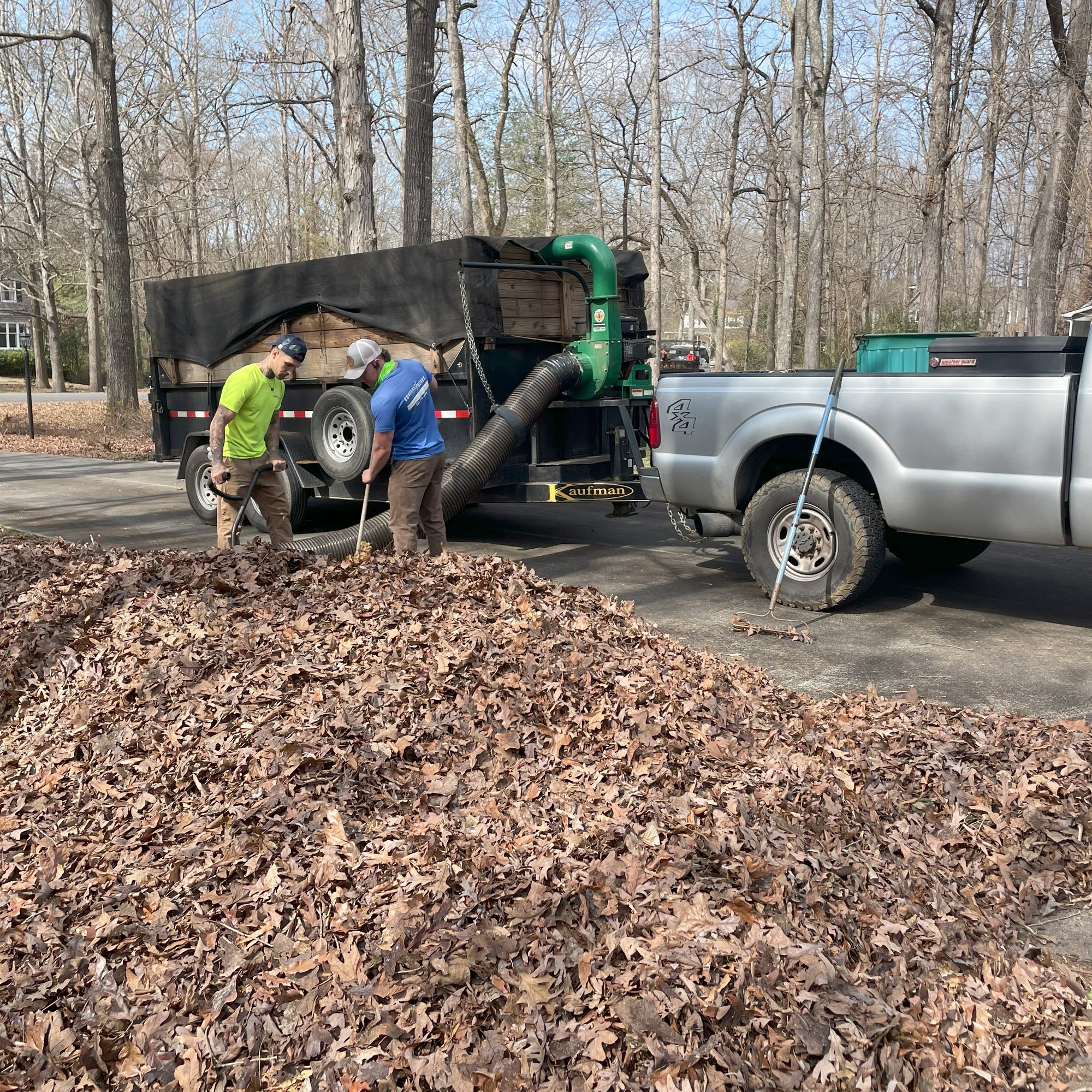 Leaf Removal Leaf Removal