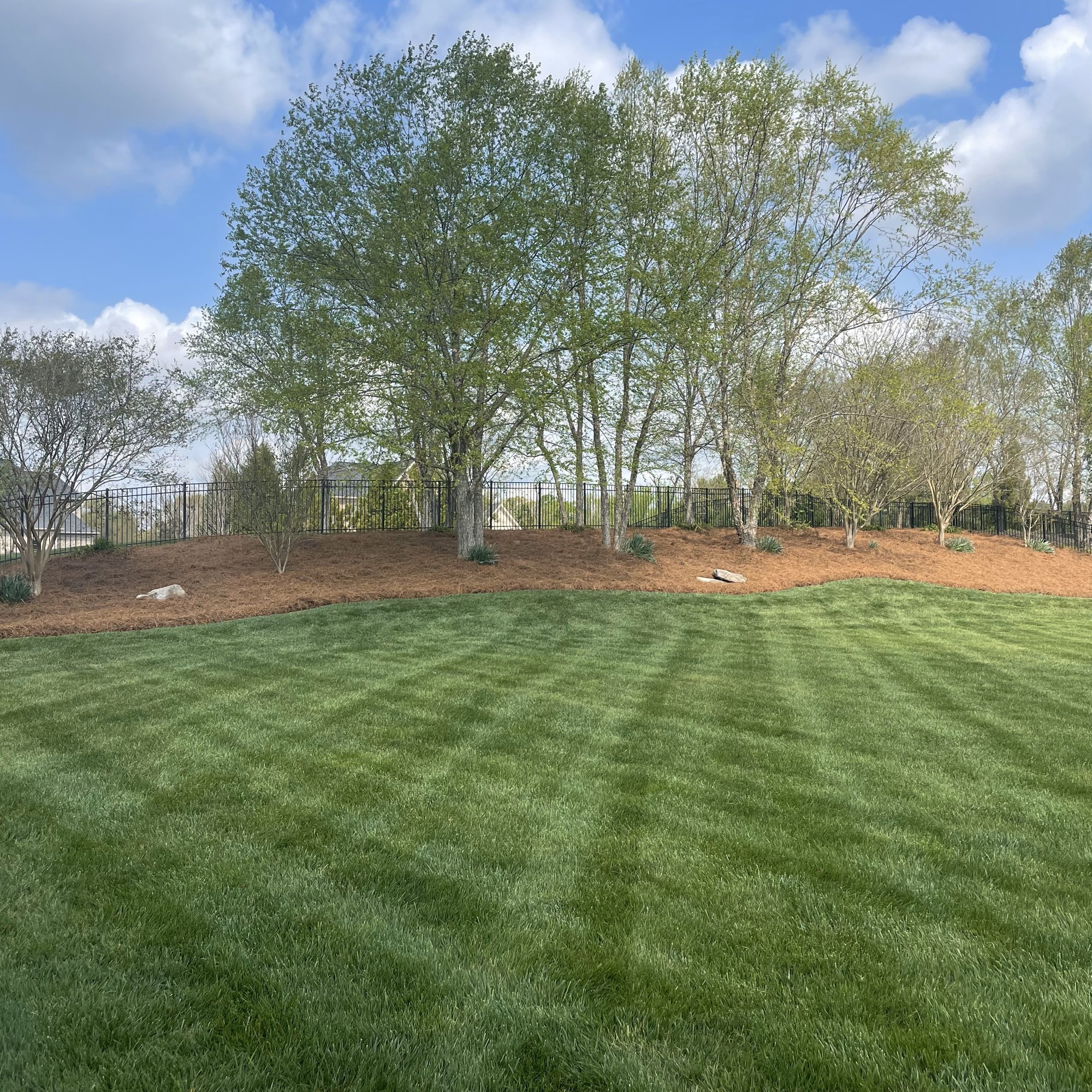 Pine Needles and Mulch Installation Pine Needles and Mulch Installation