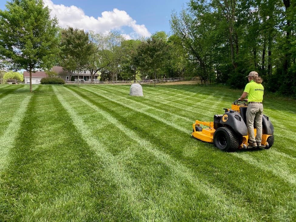 Lawn Care Lawn Care