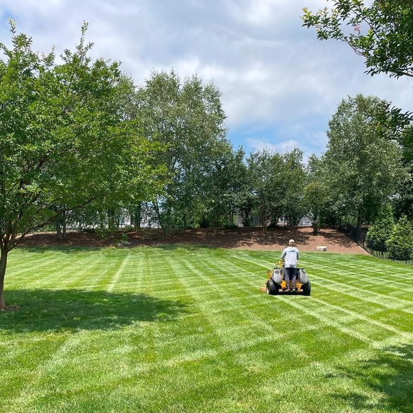 Lawn Care Lawn Care