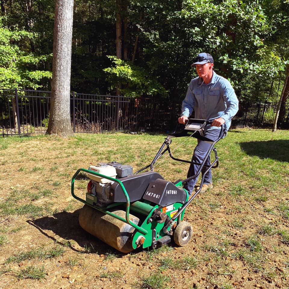 Fescue Aeration and Overseeding